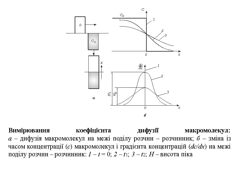 Вимірювання коефіцієнта дифузії макромолекул: а – дифузія макромолекул на межі поділу розчин – розчинник;